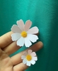 Gói 100 bông hoa cúc nhí mix size Trắng