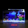 Bể cá Mini Để Bàn Có Tranh Dán  Kích Thước D40cm x R20cm x C20cm  Giúp Hồ Cá Đẹp Hơn