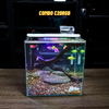 Bể cá mini CUBIC 25cm để bàn
