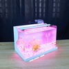 Bể cá mini Đúc uốn cong 40x24x25cm để bàn Với nhiều mẫu lựa chọn có kèm phụ kiện sỏi nền và cây nhựa