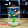 Bể cá mini tròn để bàn D20-H30cm chọn theo combo nhiều mẫu kèm phụ kiện