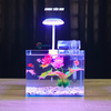 Bể cá mini Đúc uốn cong 20x14x16cm để bàn Với nhiều mẫu lựa chọn có kèm phụ kiện sỏi nền và cây nhựa