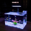 Bể cá mini Đúc uốn cong 35x21x23cm để bàn Với nhiều mẫu lựa chọn có kèm phụ kiện sỏi nền và cây nhựa