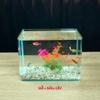 Bể Cá Mini Để Bàn ĐÚC SIÊU TRONG 25x16x18cm Phù Hợp Nuôi Cá , Làm Hồ Thuỷ Sinh Mini