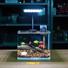 Bể Cá Mini KÍNH SIÊU TRONG Uốn 2 Cạnh Trước Kích Thước Từ 20cm đến 40cm