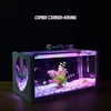 Bể cá mini 40cm COMBO đầy đủ CHỌN MẪU phù hợp nuôi cá cảnh mini để bàn