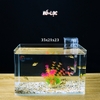 Bể Cá Mini Để Bàn ĐÚC SIÊU TRONG 35x21x23cm Phù Hợp Nuôi Cá , Làm Hồ Thuỷ Sinh Mini