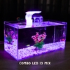 Bể cá mini 40x20x20cm Nhiều Mẫu Để Bàn Đẹp Phù Hợp Nuôi Cá Cảnh Nhỏ