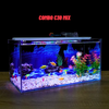 Bể cá Mini Để Bàn Có Tranh Dán  Kích Thước D40cm x R20cm x C20cm  Giúp Hồ Cá Đẹp Hơn