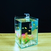 Bể Cá Mini PT AQUA 15x15x20cm Kính 5ly Phù Hợp Nuôi Cá Mini Để Bàn hoặc Làm Bể Thuỷ Sinh Mini Để Bàn