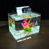 Bể cá mini Đúc uốn cong 25x16x18cm để bàn Với nhiều mẫu lựa chọn có kèm phụ kiện sỏi nền và cây nhựa