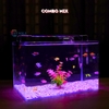 Bể cá mini Đúc uốn cong 35x21x23cm để bàn Với nhiều mẫu lựa chọn có kèm phụ kiện sỏi nền và cây nhựa