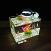 Bể cá mini Đúc uốn cong 25x16x18cm để bàn Với nhiều mẫu lựa chọn có kèm phụ kiện sỏi nền và cây nhựa