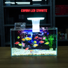 Bể Cá Mini Để Bàn Dán Sẵn Tranh Kích Thước 30x15x18cm Phù Hợp Nuôi Cá Cảnh Mini Để Bàn