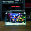 Bể Cá Mini Để Bàn Dán Sẵn Tranh Kích Thước 30x15x18cm Phù Hợp Nuôi Cá Cảnh Mini Để Bàn