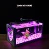 Bể cá mini để bàn 40x20x20cm nhiều mẫu phù hợp nuôi cá cảnh mini nhỏ nhỏ để bàn