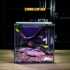 Bể cá mini CUBIC 25cm để bàn