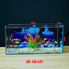 Bể cá Mini Để Bàn Có Tranh Dán  Kích Thước D40cm x R20cm x C20cm  Giúp Hồ Cá Đẹp Hơn