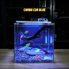 Bể cá mini CUBIC 25cm để bàn