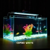 Bể cá mini 40x20x20cm Nhiều Mẫu Để Bàn Đẹp Phù Hợp Nuôi Cá Cảnh Nhỏ