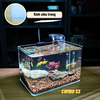 Bể Cá Mini Để Bàn ĐÚC SIÊU TRONG 25x16x18cm Phù Hợp Nuôi Cá , Làm Hồ Thuỷ Sinh Mini