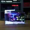 Bể Cá Mini Để Bàn Dán Sẵn Tranh Kích Thước 30x15x18cm Phù Hợp Nuôi Cá Cảnh Mini Để Bàn