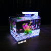 Bể cá mini Đúc uốn cong 25x16x18cm để bàn Với nhiều mẫu lựa chọn có kèm phụ kiện sỏi nền và cây nhựa