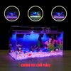 Bể cá Mini Để Bàn Có Tranh Dán  Kích Thước D40cm x R20cm x C20cm  Giúp Hồ Cá Đẹp Hơn