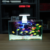 Bể Cá Mini Để Bàn Dán Sẵn Tranh Kích Thước 30x15x18cm Phù Hợp Nuôi Cá Cảnh Mini Để Bàn