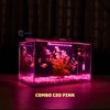 Bể cá mini để bàn COMBO Chọn mẫu 30x15x18cm để bàn nhỏ gọn phù hợp nuôi cá cảnh mini