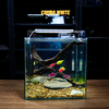 Bể cá mini CUBIC 25cm để bàn