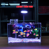 Bể Cá Mini Để Bàn Dán Sẵn Tranh Kích Thước 30x15x18cm Phù Hợp Nuôi Cá Cảnh Mini Để Bàn