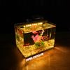 Bể cá mini Đúc uốn cong 25x16x18cm để bàn Với nhiều mẫu lựa chọn có kèm phụ kiện sỏi nền và cây nhựa