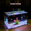 Bể cá mini Đúc uốn cong 40x24x25cm để bàn Với nhiều mẫu lựa chọn có kèm phụ kiện sỏi nền và cây nhựa