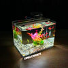 Bể cá mini Đúc uốn cong 25x16x18cm để bàn Với nhiều mẫu lựa chọn có kèm phụ kiện sỏi nền và cây nhựa