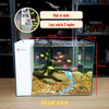 Bể Cá Mini Lọc Vách Kích Thước 50x33x35cm Để Bàn Đầy Đủ Phụ Kiện Có Sẵn Bơm và Vật Liệu Lọc