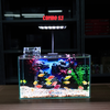 Bể Cá Mini Để Bàn Dán Sẵn Tranh Kích Thước 30x15x18cm Phù Hợp Nuôi Cá Cảnh Mini Để Bàn
