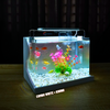 Bể cá mini Đúc uốn cong 25x16x18cm để bàn Với nhiều mẫu lựa chọn có kèm phụ kiện sỏi nền và cây nhựa