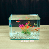 Bể cá mini Đúc uốn cong 25x16x18cm để bàn Với nhiều mẫu lựa chọn có kèm phụ kiện sỏi nền và cây nhựa