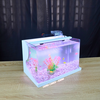 Bể cá mini Đúc uốn cong 35x21x23cm để bàn Với nhiều mẫu lựa chọn có kèm phụ kiện sỏi nền và cây nhựa