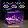 Bể Cá Mini Để Bàn ĐÚC SIÊU TRONG 25x16x18cm Phù Hợp Nuôi Cá , Làm Hồ Thuỷ Sinh Mini