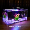 Bể cá mini 40x20x20cm Nhiều Mẫu Để Bàn Đẹp Phù Hợp Nuôi Cá Cảnh Nhỏ