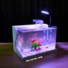 Bể cá mini Đúc uốn cong 30x18x20cm để bàn Với nhiều mẫu lựa chọn có kèm phụ kiện sỏi nền và cây nhựa