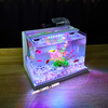 Bể cá mini Đúc uốn cong 25x16x18cm để bàn Với nhiều mẫu lựa chọn có kèm phụ kiện sỏi nền và cây nhựa