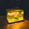 Bể cá mini Đúc uốn cong 25x16x18cm để bàn Với nhiều mẫu lựa chọn có kèm phụ kiện sỏi nền và cây nhựa
