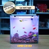 Bể Cá Mini Lọc Vách CUBIC 25 Để Bàn Đầy Đủ Phụ Kiện Có Sẵn Bơm và Vật Liệu Lọc