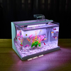 Bể cá mini Đúc uốn cong 30x18x20cm để bàn Với nhiều mẫu lựa chọn có kèm phụ kiện sỏi nền và cây nhựa