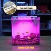 Bể Cá Mini Lọc Vách CUBIC 25 Để Bàn Đầy Đủ Phụ Kiện Có Sẵn Bơm và Vật Liệu Lọc