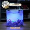 Bể Cá Mini Lọc Vách CUBIC 25 Để Bàn Đầy Đủ Phụ Kiện Có Sẵn Bơm và Vật Liệu Lọc
