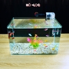 Bể cá mini Đúc uốn cong 35x21x23cm để bàn Với nhiều mẫu lựa chọn có kèm phụ kiện sỏi nền và cây nhựa